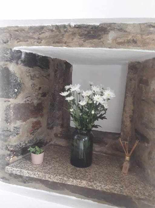 A Toca Do Cuco Na Vila Da Sertã 외부 사진
